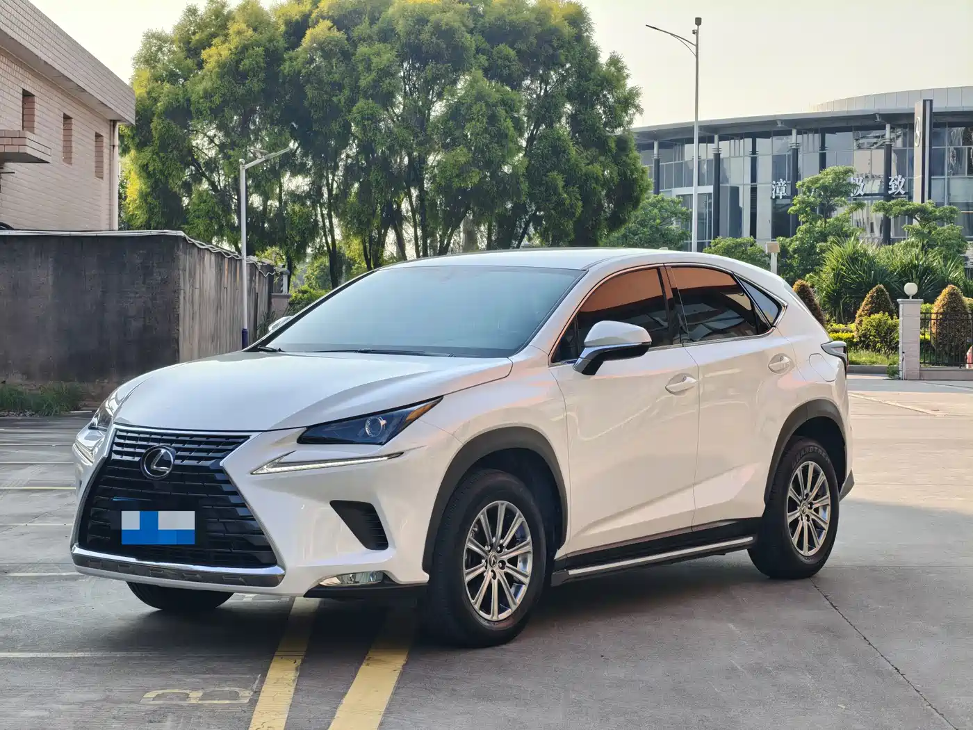 Lexus NX, 2023 — Lexus NX под заказ