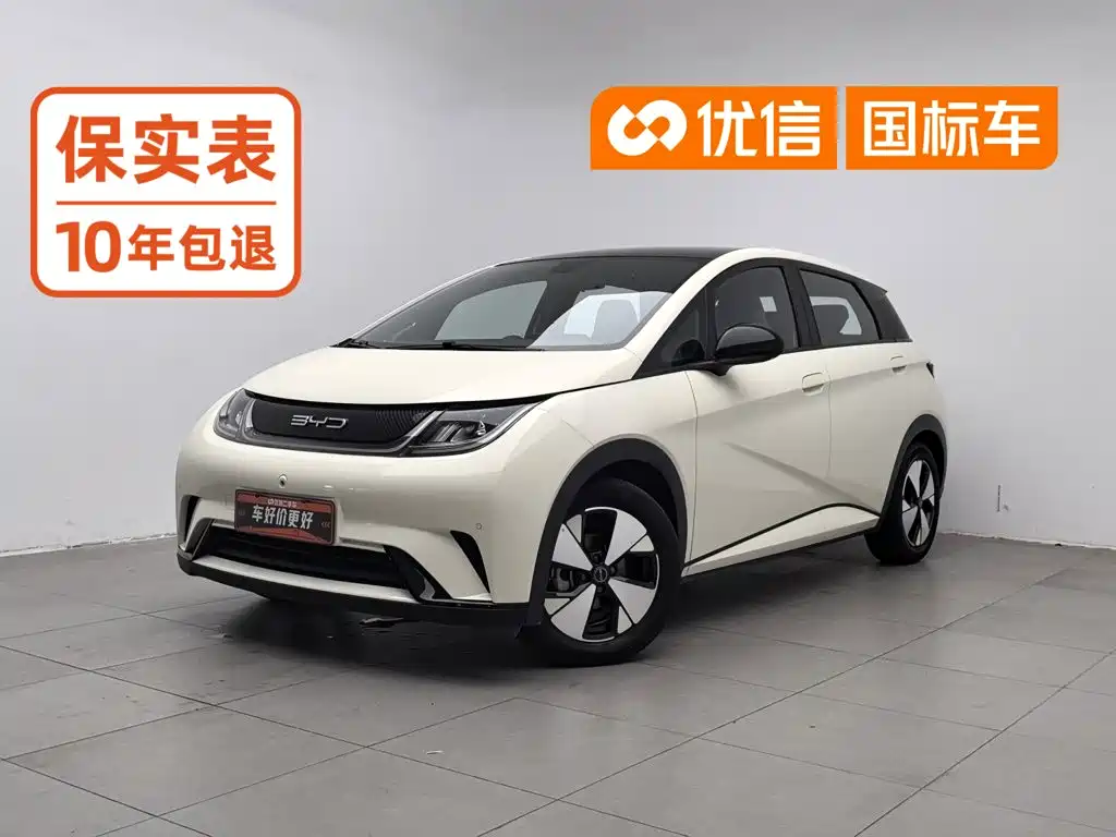 BYD Dolphin, 2024 — BYD Dolphin под заказ