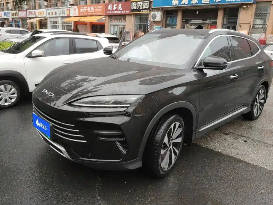 BYD PLUS New Energy, 2024 — BYD PLUS New Energy под заказ