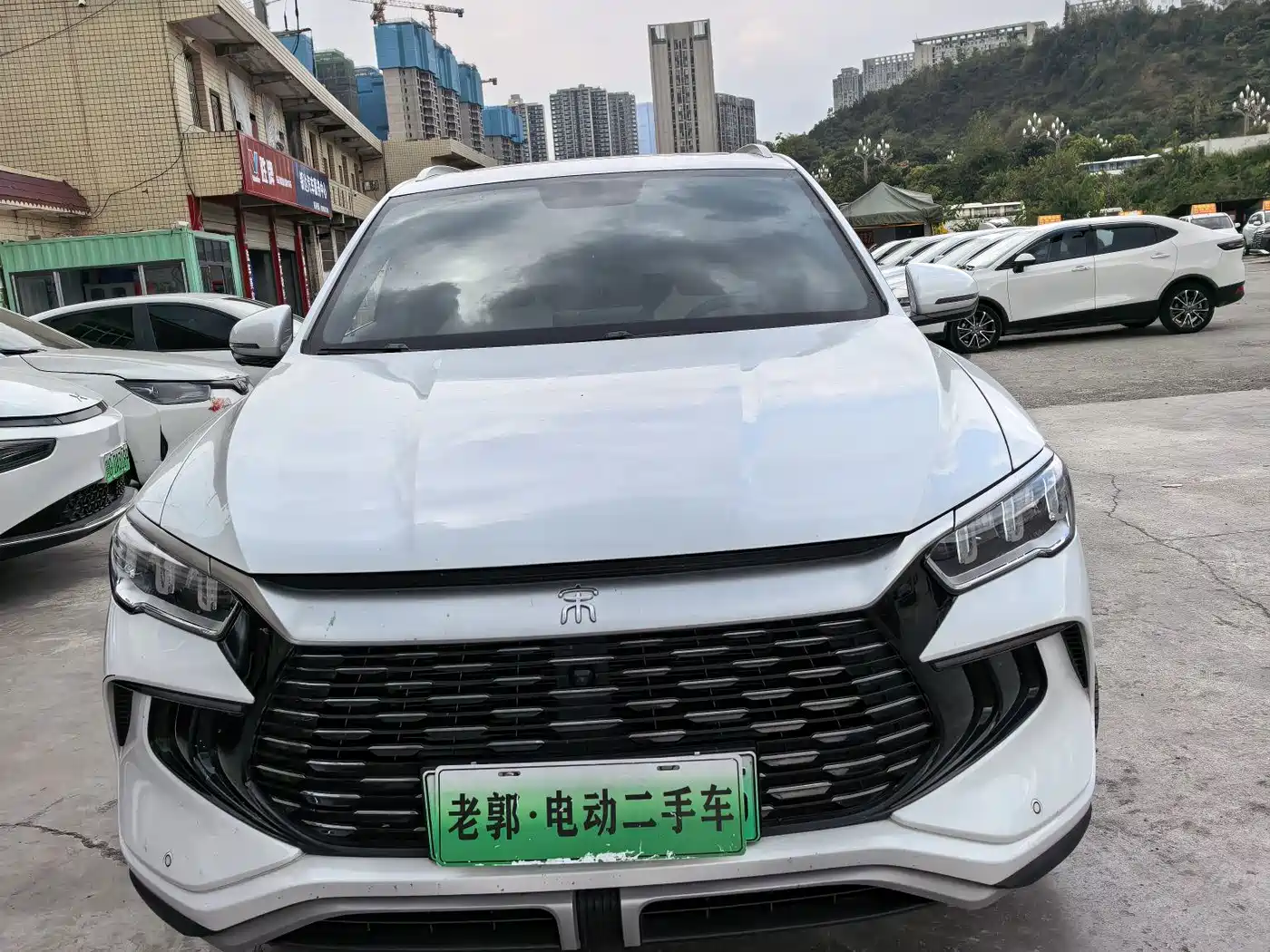 BYD Pro New Energy, 2024 — BYD PLUS New Energy под заказ