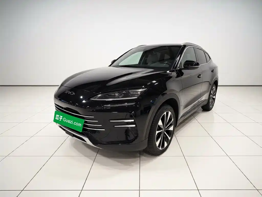BYD PLUS New Energy, 2024 — BYD PLUS New Energy под заказ