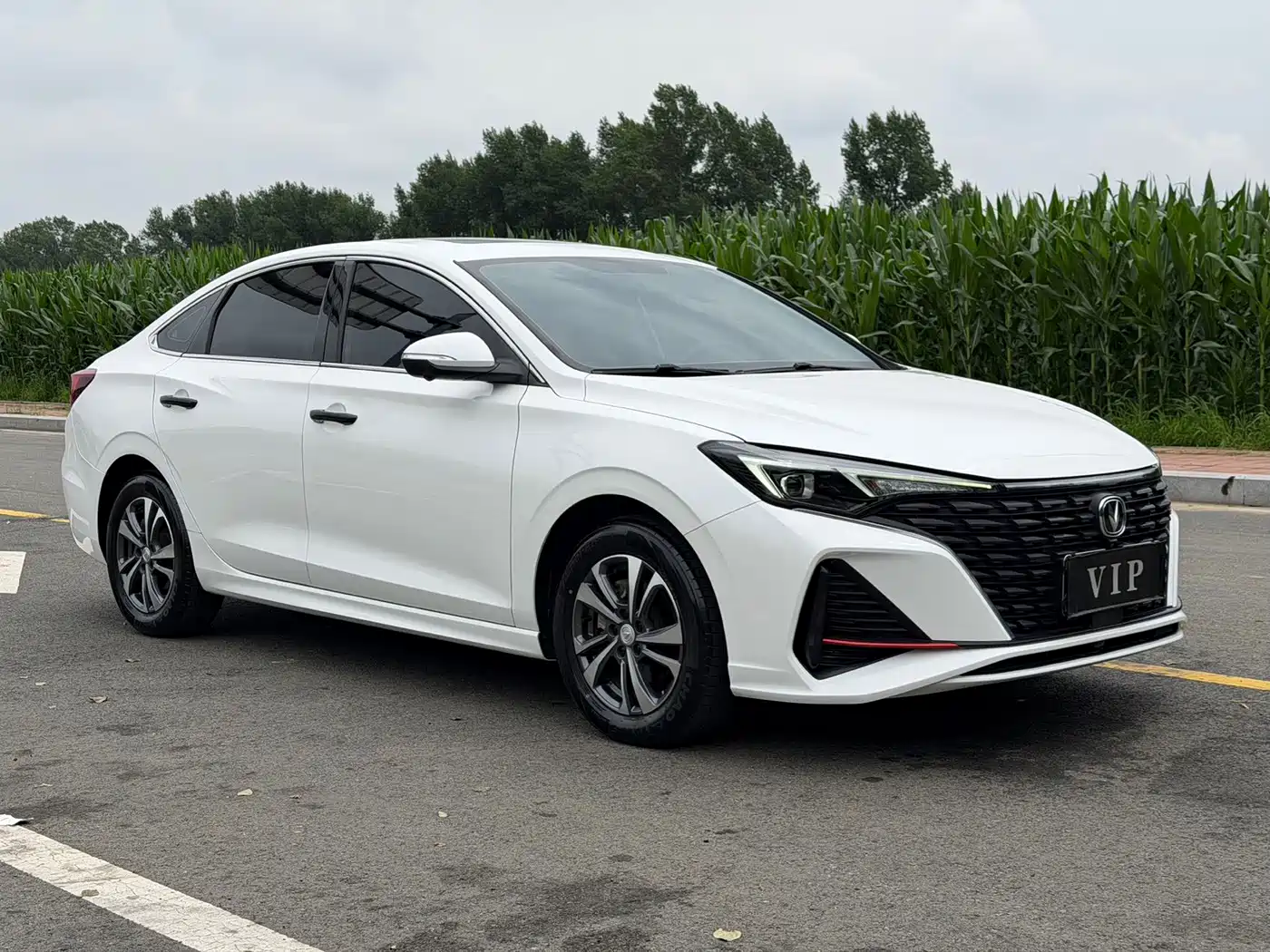 Changan Eado, 2023 — Changan Eado под заказ