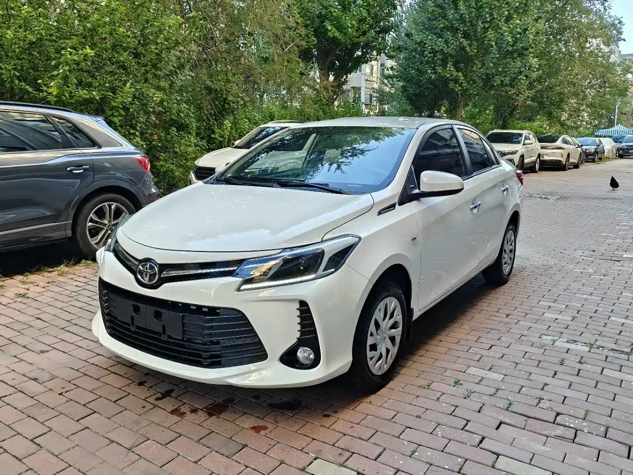 Toyota Vios, 2023 — Toyota Vios под заказ