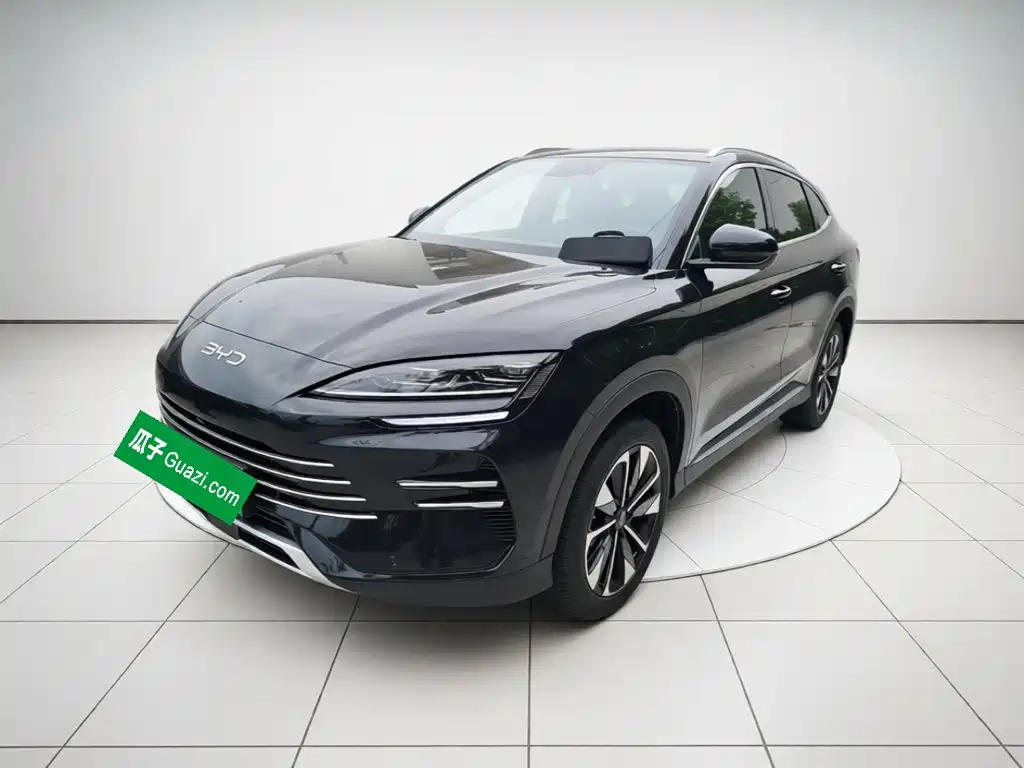 BYD PLUS New Energy, 2025 — BYD PLUS New Energy под заказ