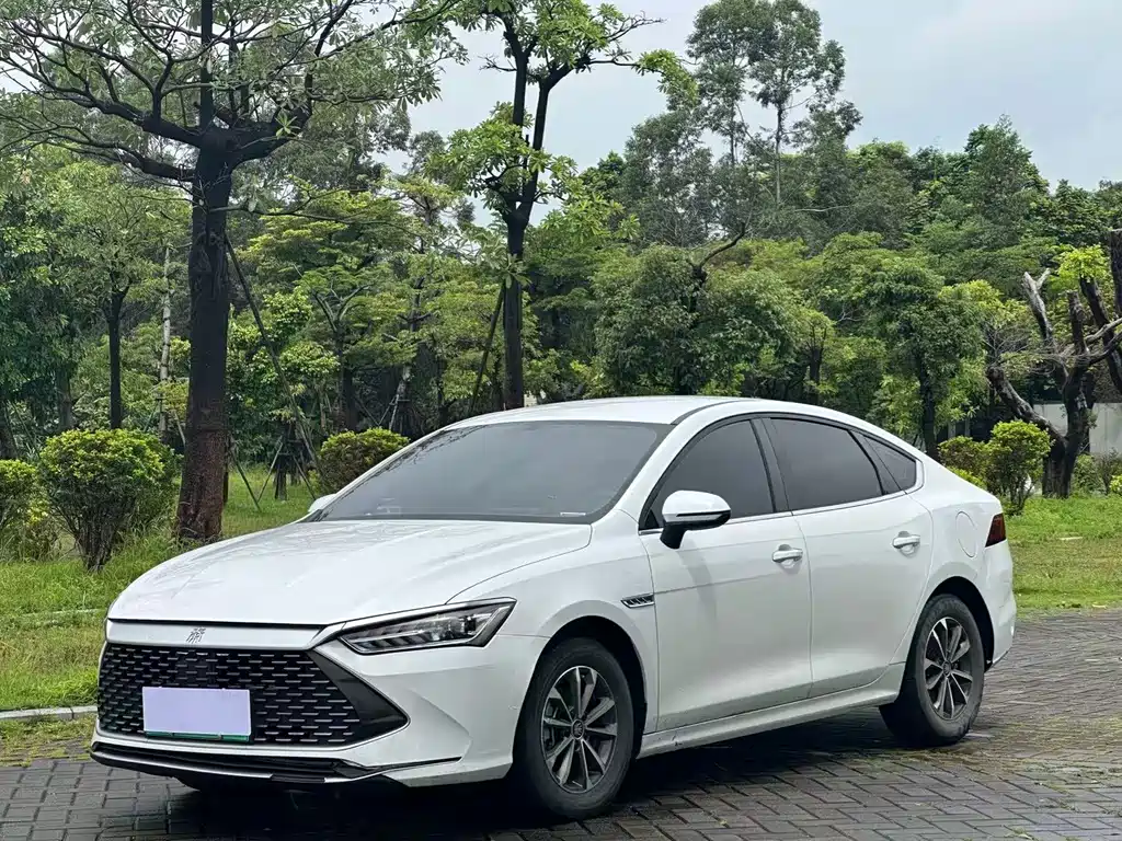 BYD Qin PLUS, 2023 — BYD Qin PLUS под заказ
