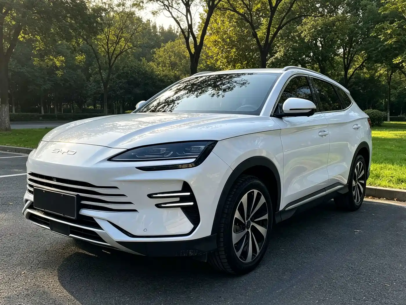 BYD PLUS New Energy, 2024 — BYD PLUS New Energy под заказ