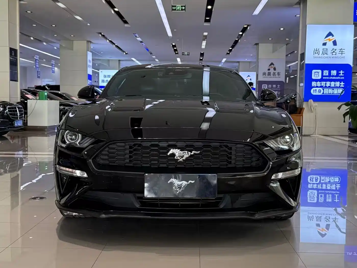 Ford Mustang, 2023 — Ford Mustang под заказ