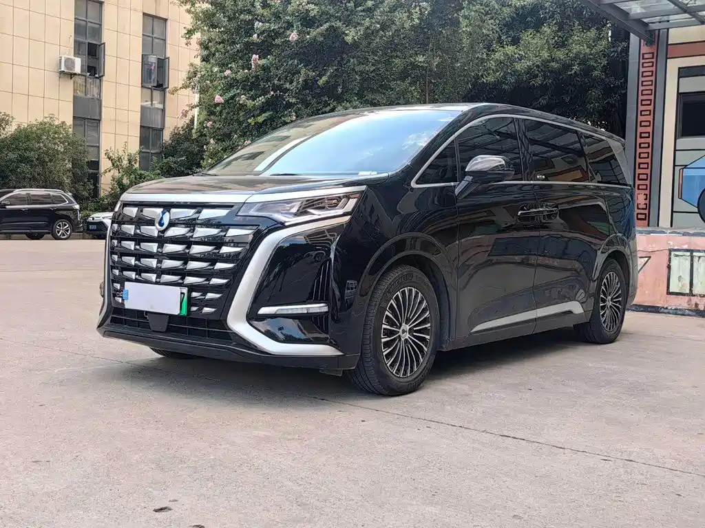 Denza Denza D9, 2023 — Denza под заказ