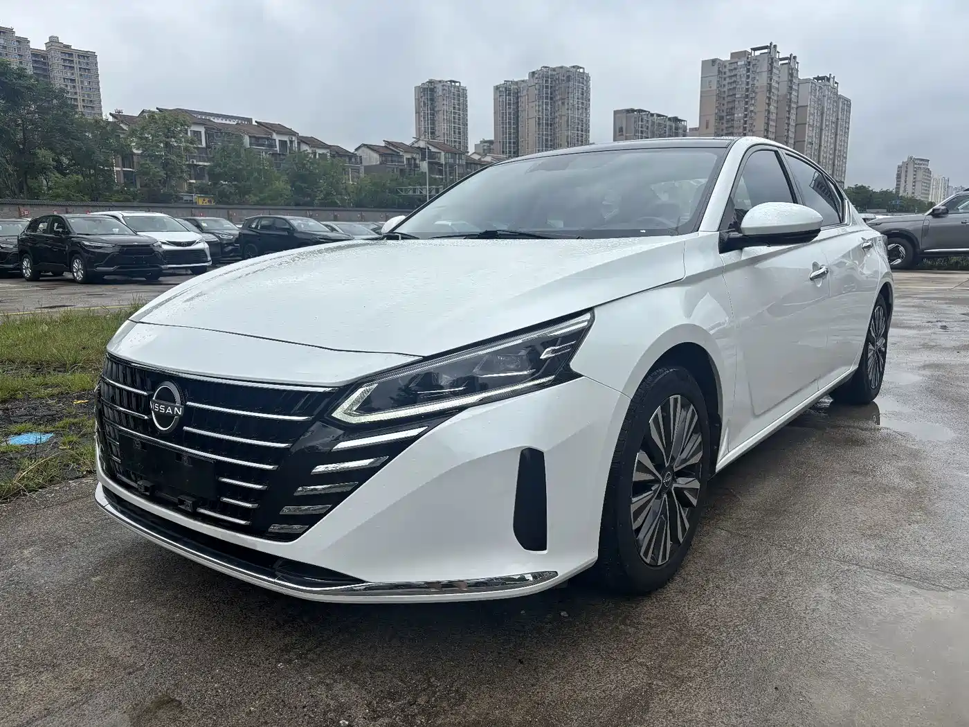 Nissan Teana, 2023 — Nissan Teana под заказ