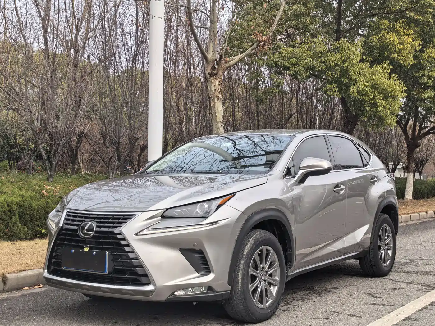 Lexus NX, 2020 — Lexus NX под заказ