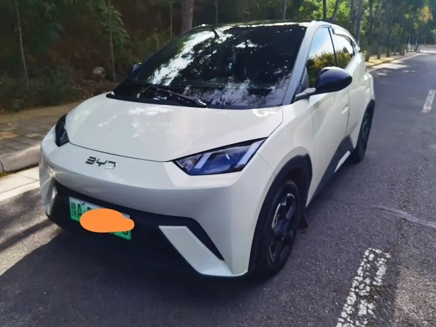 BYD Seagull, 2025 — BYD Seagull под заказ