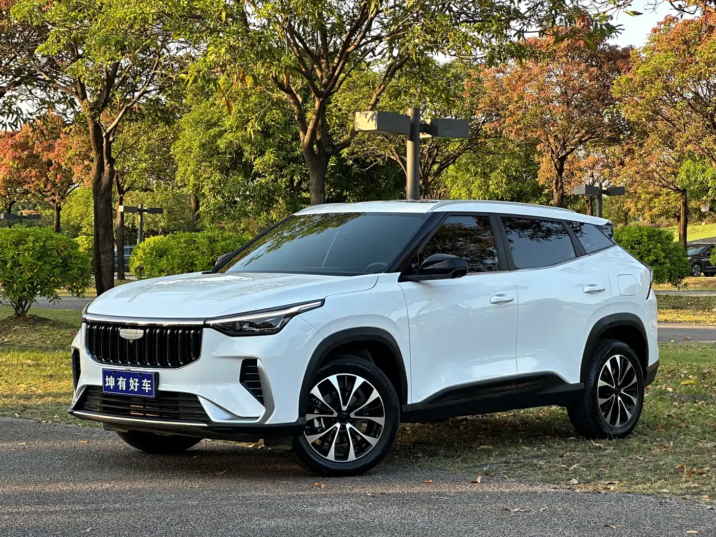 Geely Boyue, 2026 — Geely Boyue под заказ