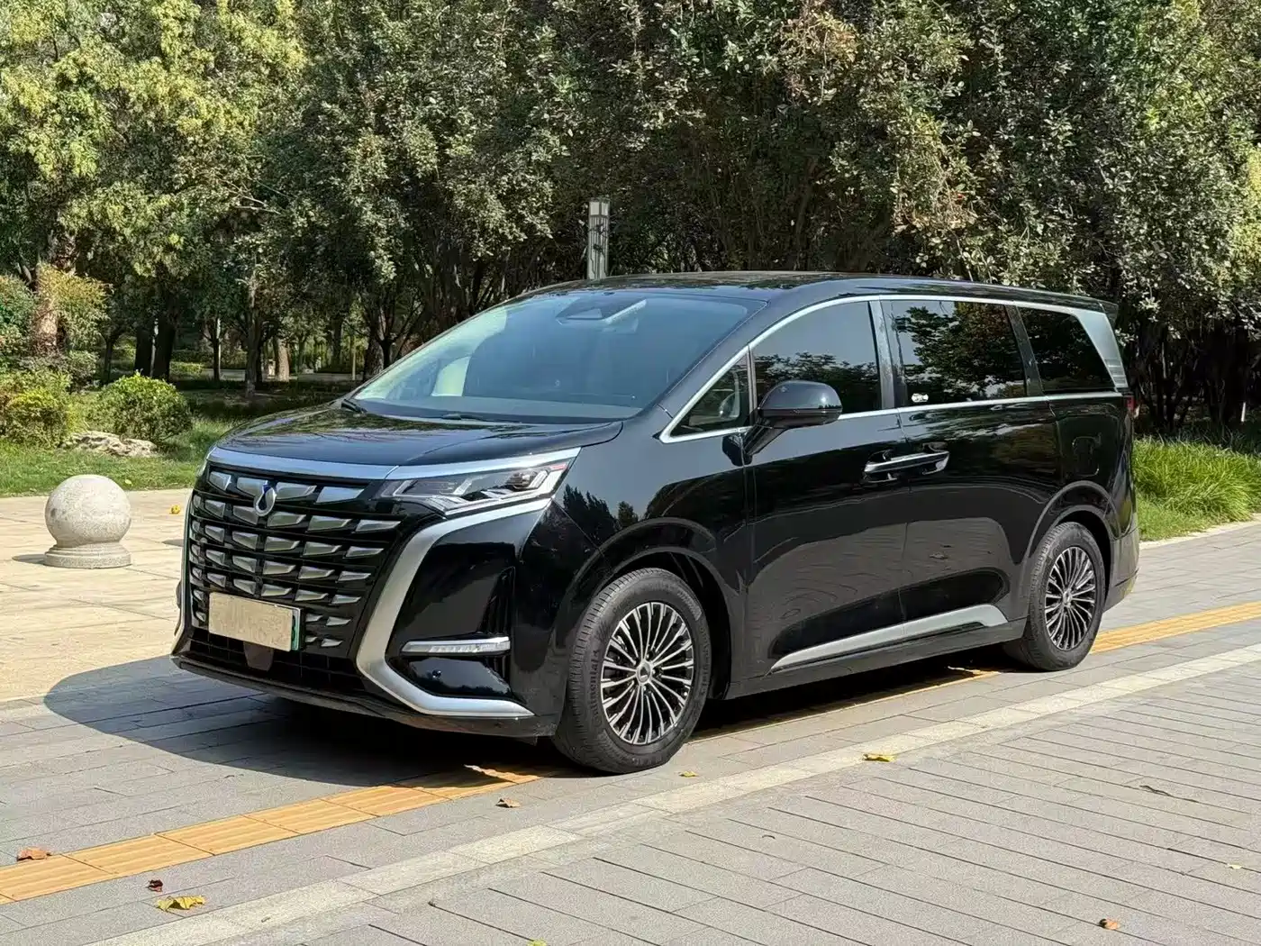 Denza Denza D9, 2025 — Denza под заказ
