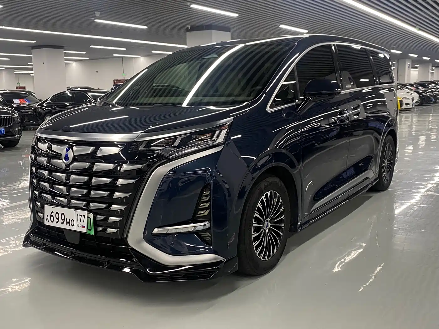Denza Denza D9, 2023 — Denza под заказ