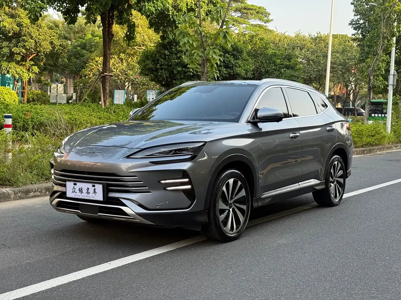 BYD PLUS New Energy, 2024 — BYD PLUS New Energy под заказ