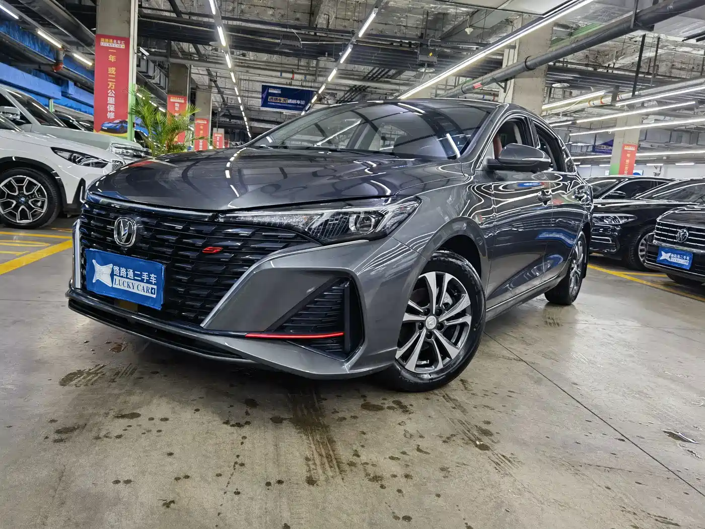 Changan Eado, 2023 — Changan Eado под заказ