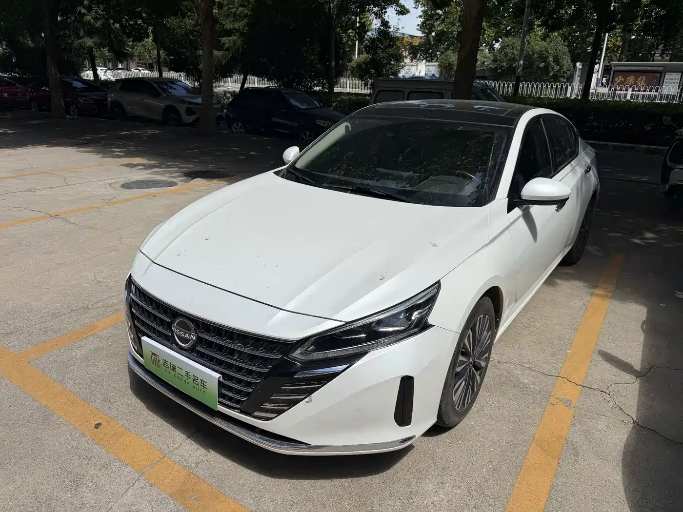 Nissan Teana, 2023 — Nissan Teana под заказ