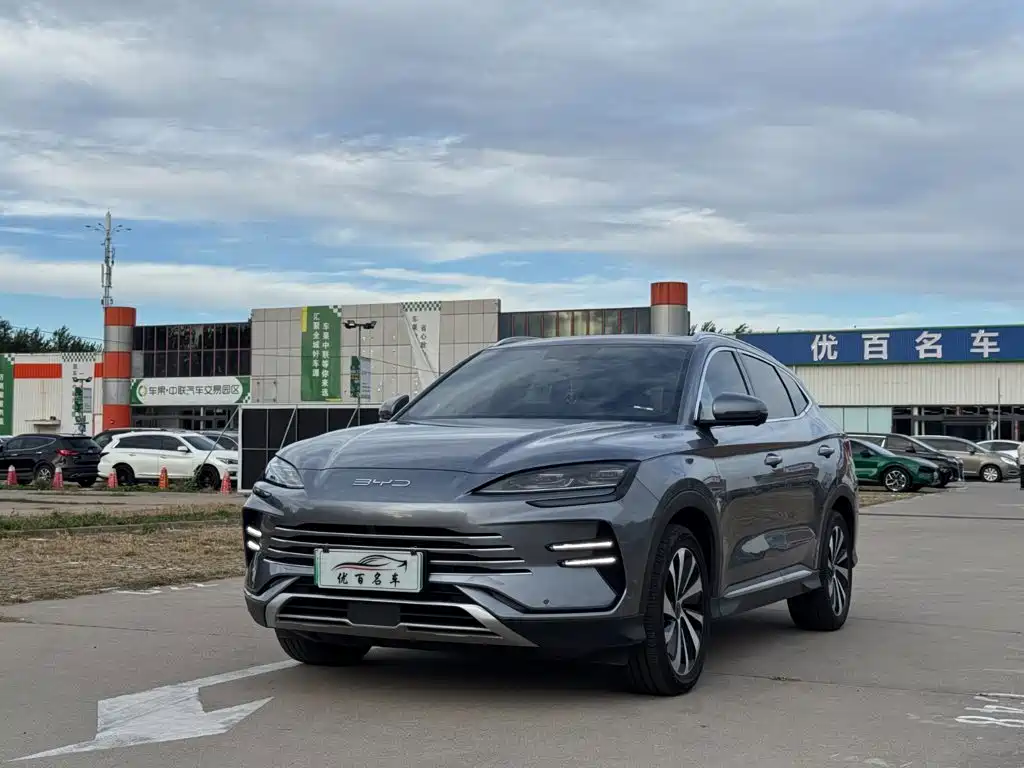 BYD PLUS New Energy, 2024 — BYD PLUS New Energy под заказ