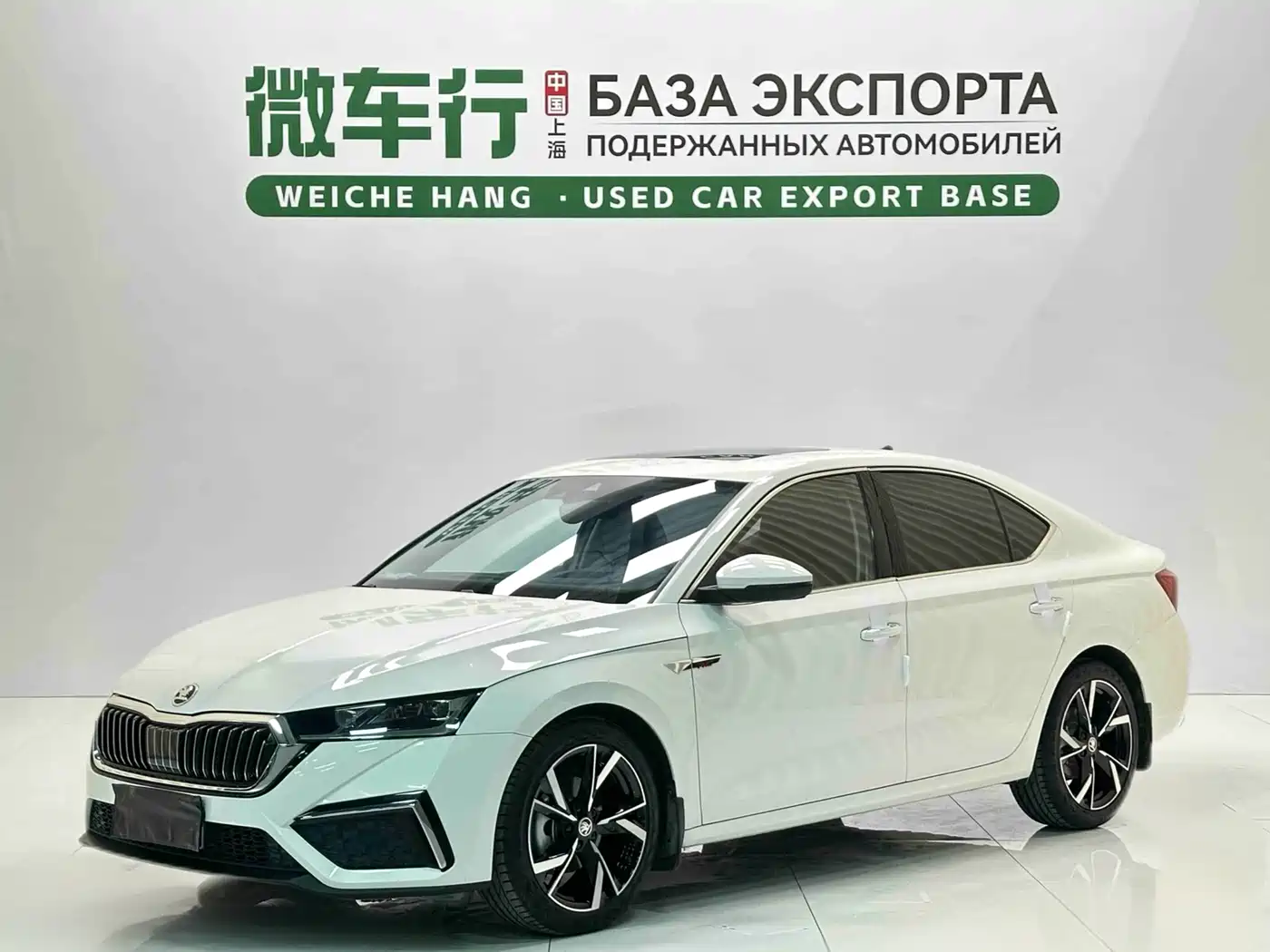Skoda Octavia, 2023 — Skoda Octavia под заказ