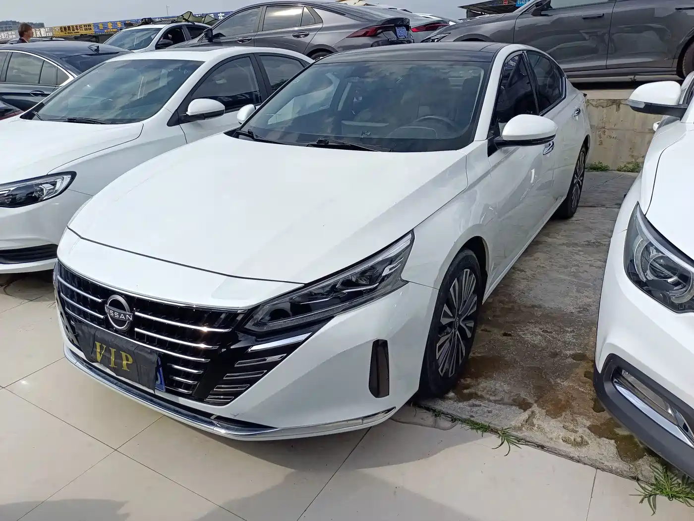 Nissan Teana, 2023 — Nissan Teana под заказ