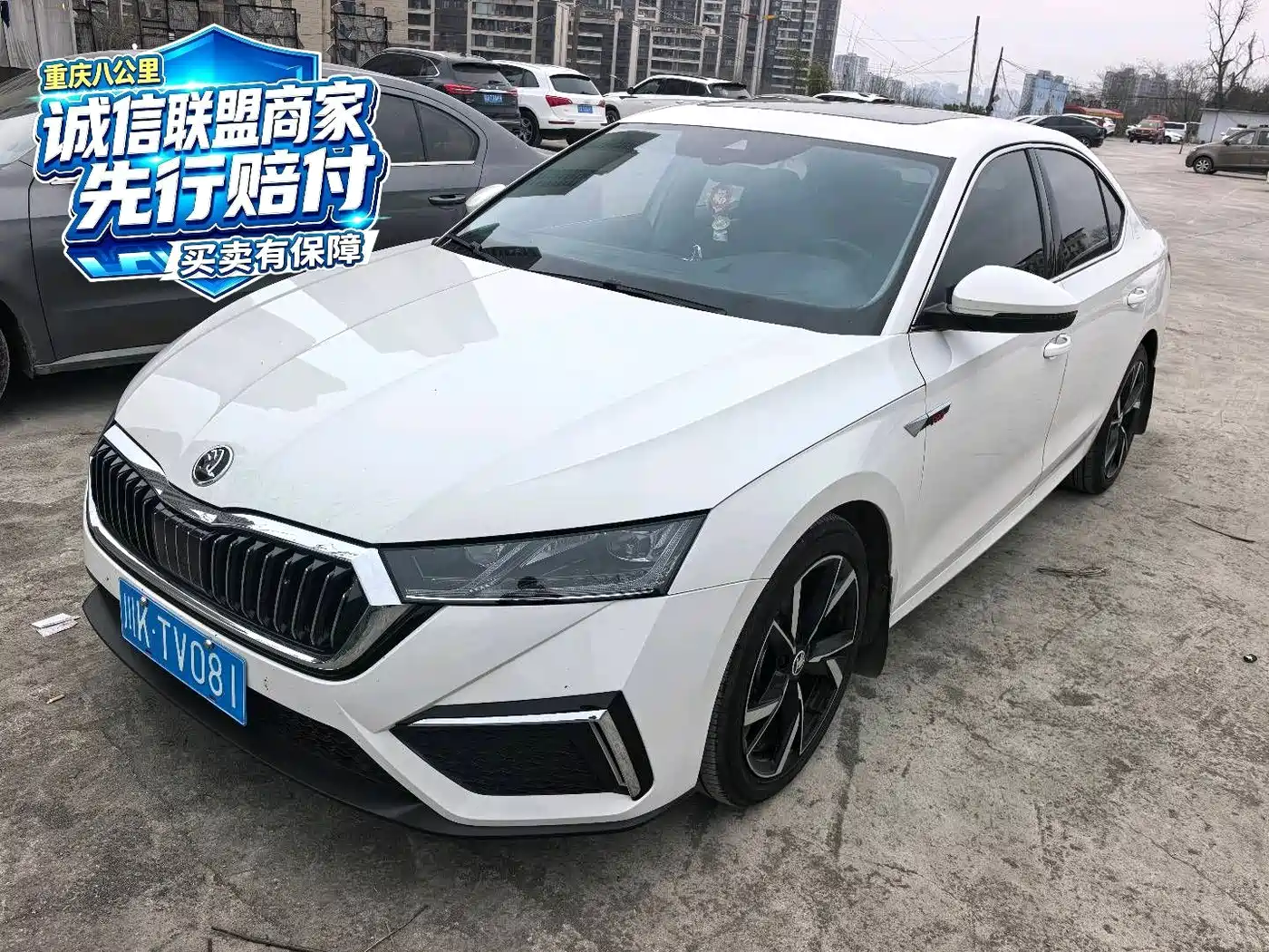Skoda Octavia, 2023 — Skoda Octavia под заказ