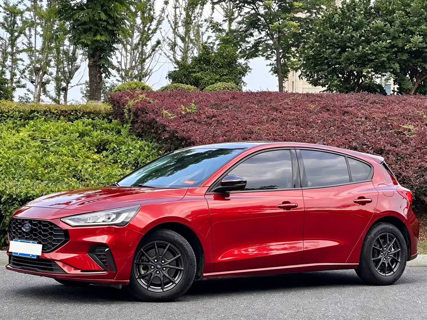 Ford Focus, 2023 — Ford Focus под заказ