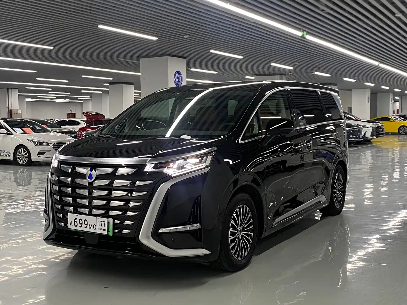 Denza Denza D9, 2024 — Denza под заказ