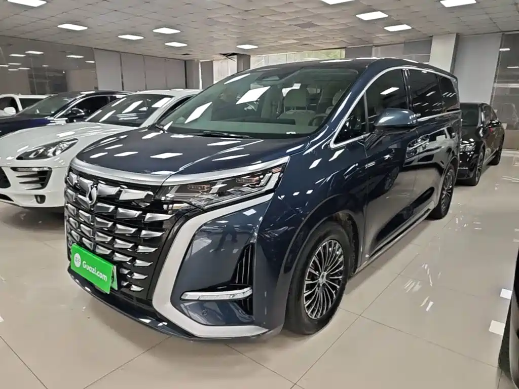Denza Denza D9, 2023 — Denza под заказ