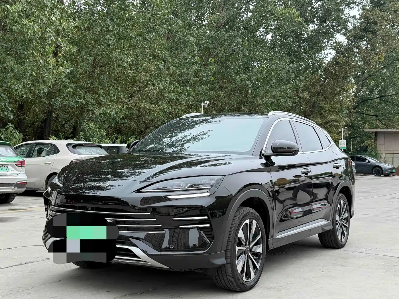 BYD PLUS New Energy, 2025 — BYD PLUS New Energy под заказ