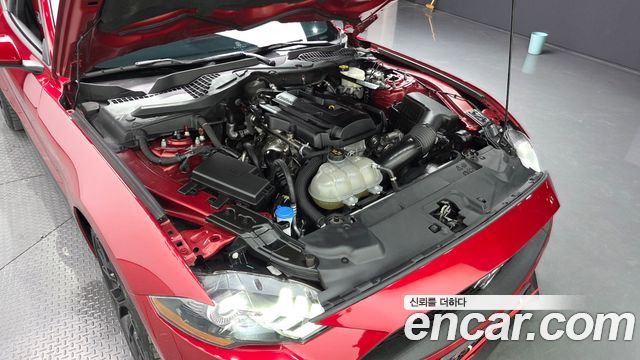 Ford Mustang, 2023 — Ford Mustang под заказ