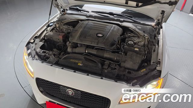 Jaguar XF, 2020 — Jaguar под заказ