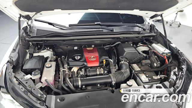 Lexus NX, 2020 — Lexus NX под заказ