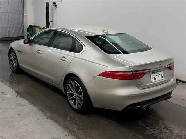 Xf Series 2017