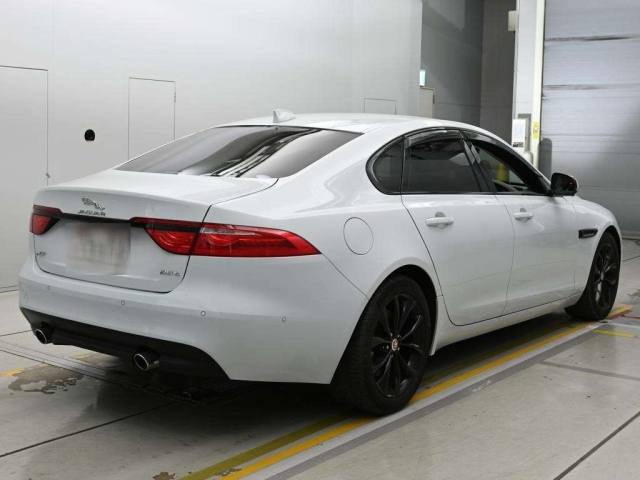 Xf Series 2017