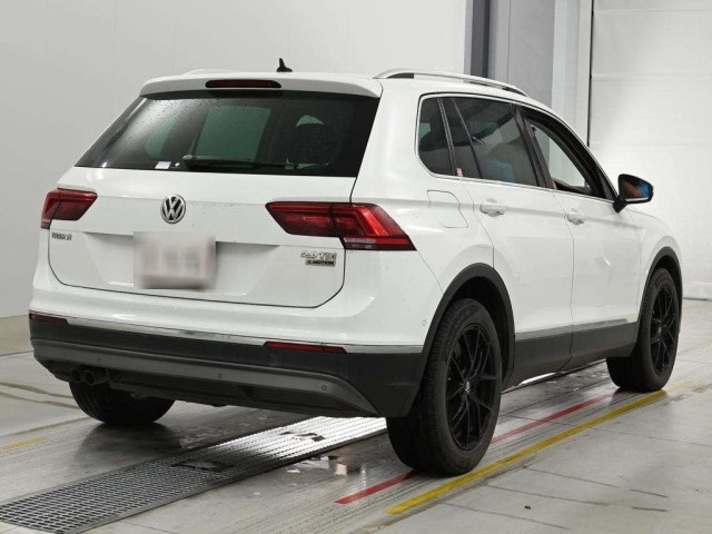 Tiguan 2019