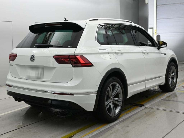 Tiguan 2019