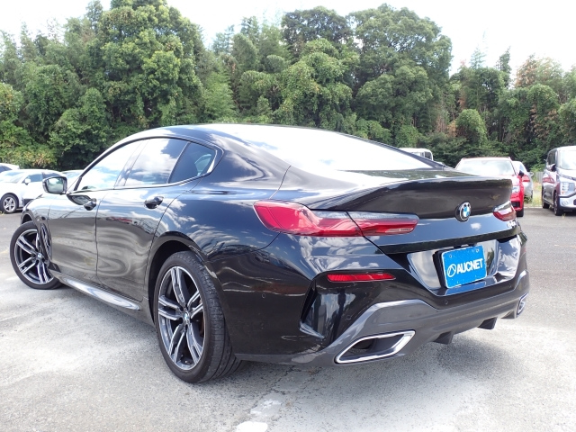 8 Series 2020