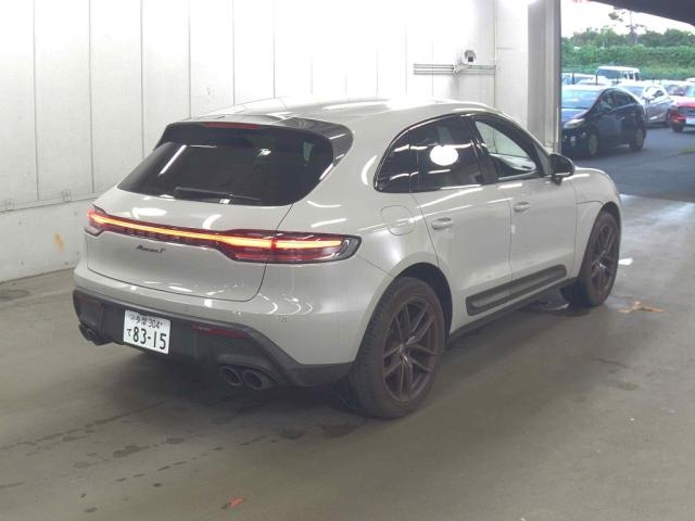 Macan 2022