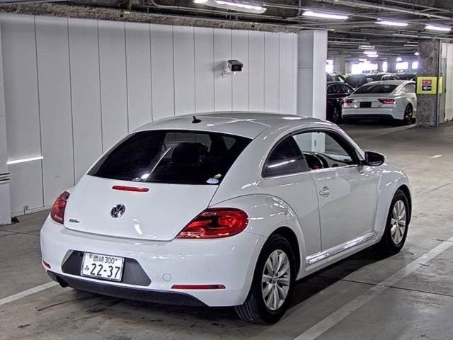 The Beetle 2014