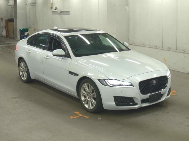 Xf Series 2020
