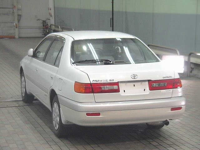 Corona Premio 1999