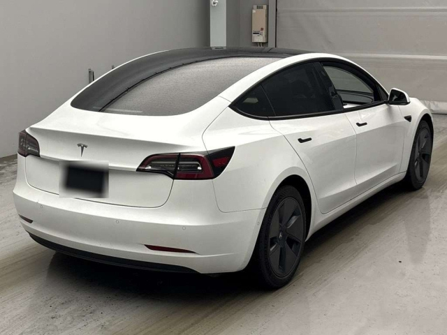 Model3 2021
