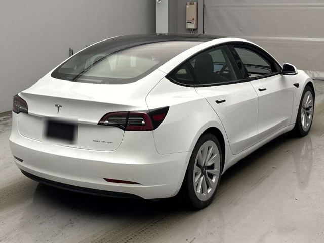 Model3 2021