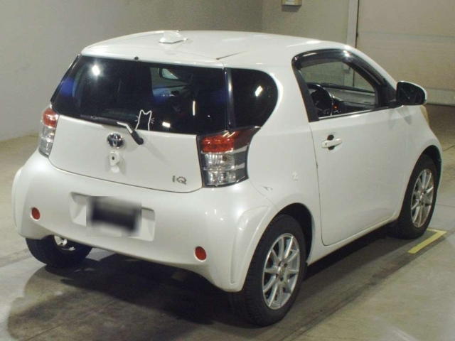 Iq 2009