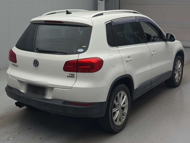 Tiguan 2013